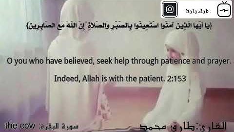 يا أيها الذين آمنوا استعينوا بالصبر والصلاة .... ( للقارئ: طارق محمد )