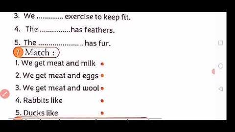 كونكت بلس 2 للصف الثاني الترم الثاني Connect Plus 2 Unit 7 Lesson 1 Where is it from 2023﻿ Exercises