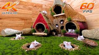 [NO ADS] Cat Game ⚔️ The Siege of Mouse Village: The Great Stink Bug Invasion