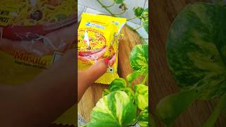 Lemon Garlic Maggi Pasta ?? | Ultimate Street Style Snack #shorts #maggi #shortsfeed #viralvideo