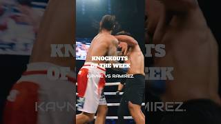 Brutal KOS of the week 😳 🥊 #boxing #dazn #bkfc #knockouts #ko #toprank #espn