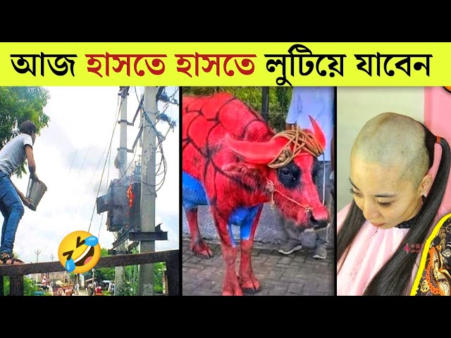 বেকুবদের কান্ড 😂 | Osthir Bangali | Funny Video Bangla | Mayajaal | Rohosso Tube | Bangla Rides