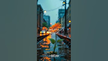 روائع التلاوات | سُورَةُ المُنَافِقُونَ ١٠ | تلاوة خاشعة تهز القلوب