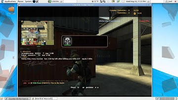 Linux 10.10 with Compiz effects and 2 Windows Games running