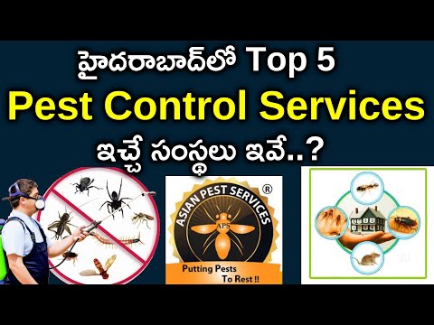 bug services near me