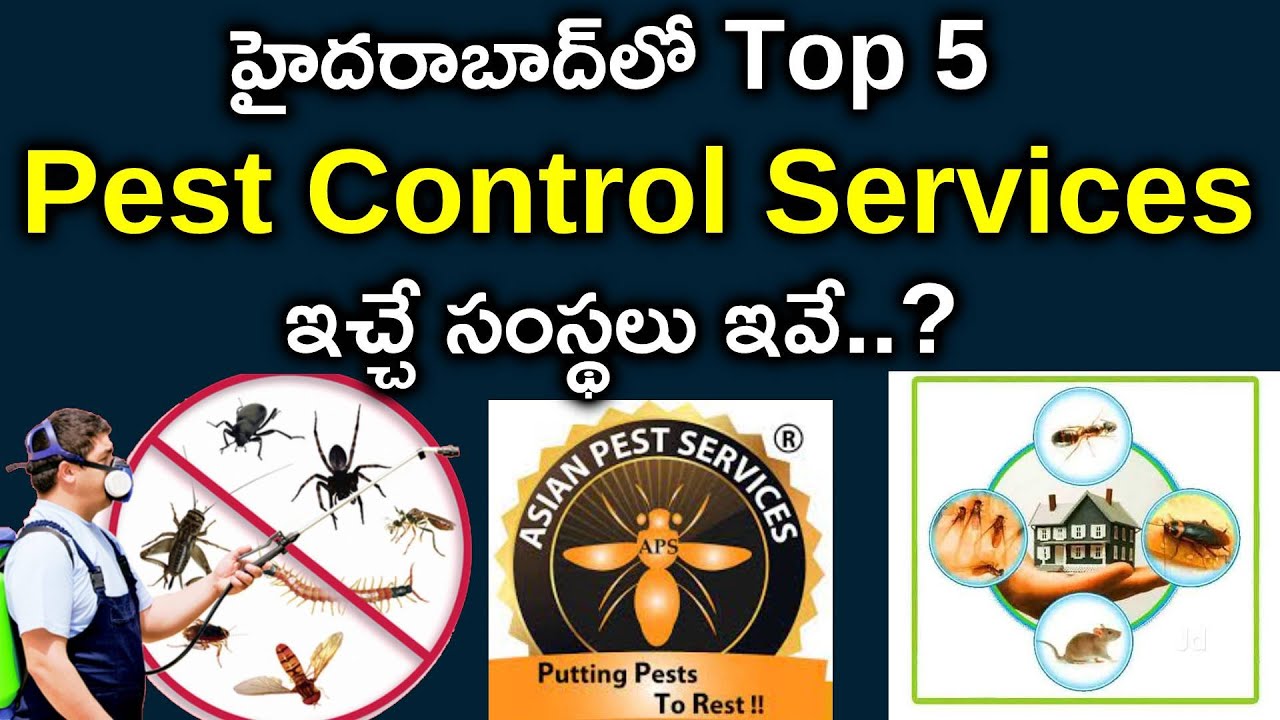 హైదరాబాద్‌లోని బెస్ట్ Pest Control Services సంస్థలు ఇవే ​| Top 5 Pest Control Services in Hyderabad