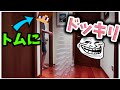 トムにドッキリしてみた! ☆大量のコップ☆