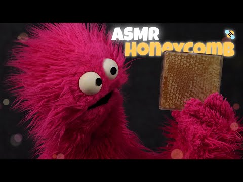 ASMR Honeycomb Eating & Story Time (Soft Spoken) 🐝🍯