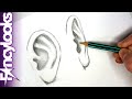 Cómo dibujar una oreja realista con lápiz - paso a paso