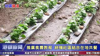 1090612【港都新聞】巧妙利用閒置土地 培育社區植物銀行