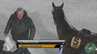 Vidéo de la course PMU LOPP 7