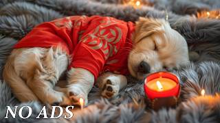 12-Hours of Dog Calming Music for Dogs🐶💖Background Music for Dogs Sleeping🦮🎵Pet music🦮 No Ads