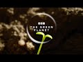 The green planet  official trailer  new attenborough series  bbc earth