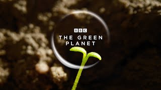 The Green Planet | Official Trailer | New Attenborough Series | BBC Earth