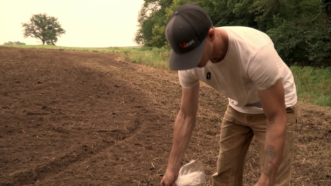 Food Plots - Poor Man - Iowa