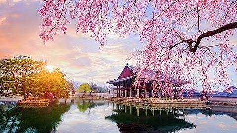 Đoạn Tình Duyên Gửi Tặng Cho Ai - Đàn Tranh - Không Lời - 片片相思赋予谁 刘佳兴 - 1 Hour