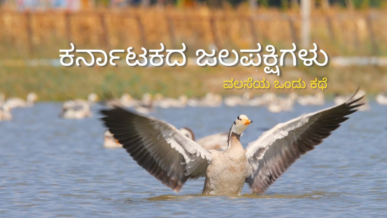 ಕರ್ನಾಟಕದ ಜಲಪಕ್ಷಿಗಳು - ವಲಸೆಯ ಒಂದು ಕಥೆ (Wings & Wetlands - Kannada)