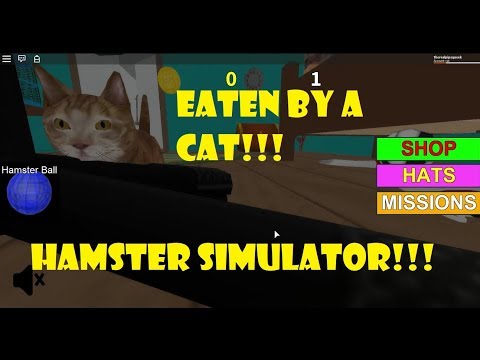 Getting Eaten By A Cat Roblox Hamster Simulator Youtube - let s play a game of cat and mouse roblox hamster simulator hamster care sheet guide how to care for your hamster