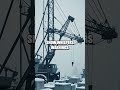 Global Grit: Tales from Dangerous Professions