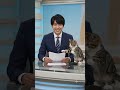 【放送事故】「猫の手も借りたい」と言った瞬間の猫の反応ww