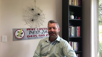 Wasp Nest removal: How To Remove Wasps Nests.