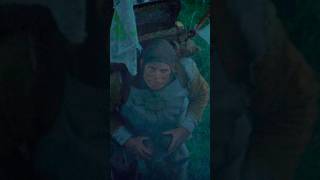 The Migration of Coconuts...