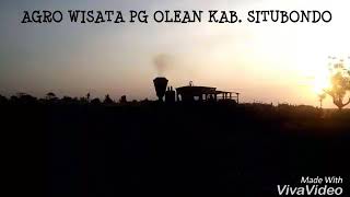 SENSASI WISATA SEPOOR UAP DI PABRIK GULA OLEAN SITUBONDO