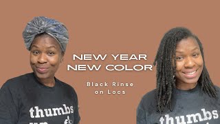 Coloring My Locs Black | Year 3 | Locs on Tapered Cut