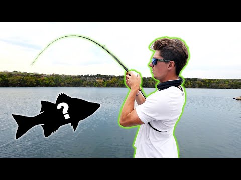 HOOKED UP On a Strange BYCATCH While Bass Fishing! (Not What I EXPECTED)