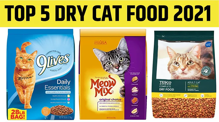 Video 6801261: royal bengal cat, bengal cat breed, bengal cat food, cat food royal canin, kitten dry food