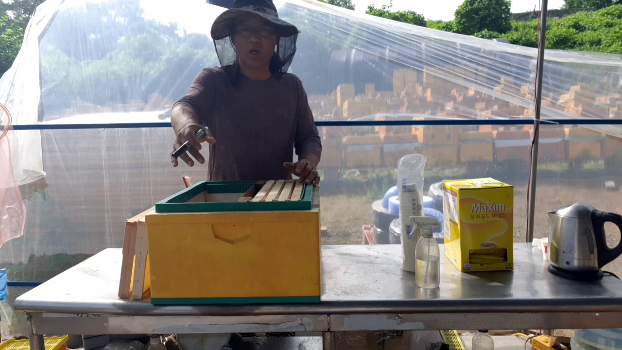 석고병 치료 영상. 질의내용....