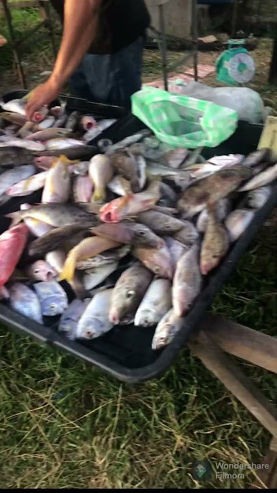 Antara makanan unik terdapat di Sabah