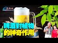 The Magical Effects Of Beer On Plants The Magical Effects Of Beer On Plants
