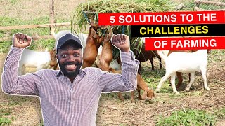 HOW TO MANAGE A SUCCESSFUL FARM IN AFRICA