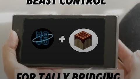 Best control for tally bridging in mojolauncher and pojav launcher 