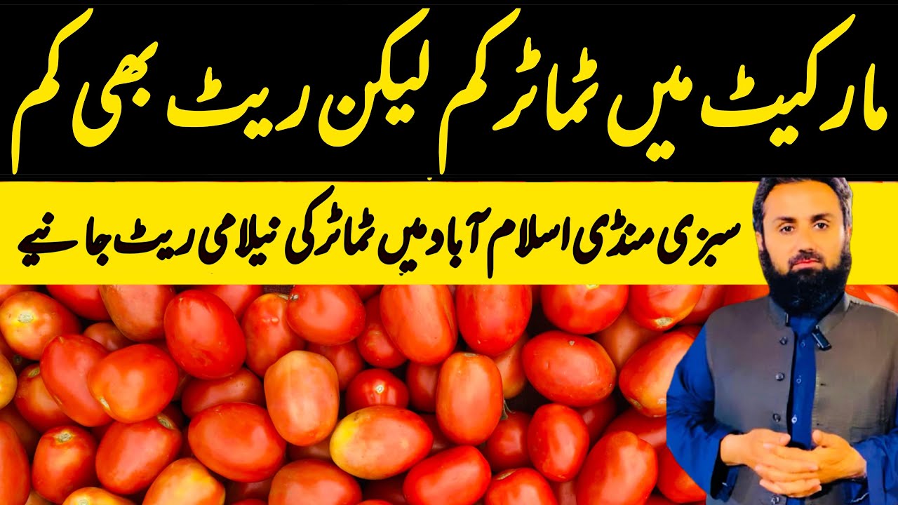 Tomato Update | Tomato Market Update | Demand and Supply Chain Breakdown | Sabzi Mandi Islamabad 
