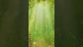 The Origin of the First Plants #history #documentary