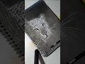 tiger sketch #viral #ytshorts