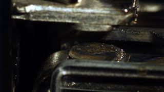 Ending Contactor Destruction