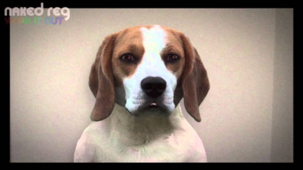 Naked Reg's Work It Out - Sit Ups animated spider man