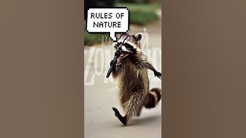 Raccoons #projectzomboid #projectzomboidgameplay  #projectzomboidmods #gaming