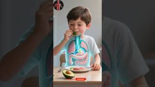 From Eye To Mind: How Vision Works (3D Animation)