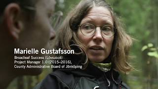 Green infrastructure in practice - Broadleaf Success (Lövsuccé) 2.0 | Swedish EPA