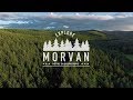 Escapade dans la nievre au coeur de la fort du morvan 