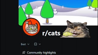 Rating Reddit Cats That Are Clearly Plotting Something
