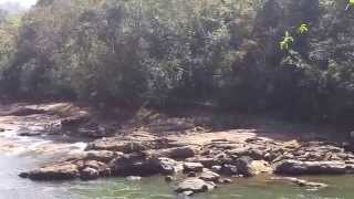 Ideal Bathing Ghats, Thenmala