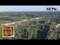 《走遍中国》 5集系列片《森林城市》（2） 荒山披绿衣 20190206 | CCTV中文国际