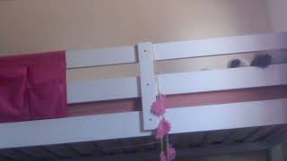 videos from a camcorder part 4