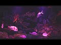 Glowing fish  soothing aquarium water stream noise  10 hour sleep sound  full