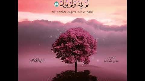سورة الإخلاص. صوت جميل